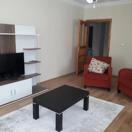 Apart Otel Sanli Part 3*